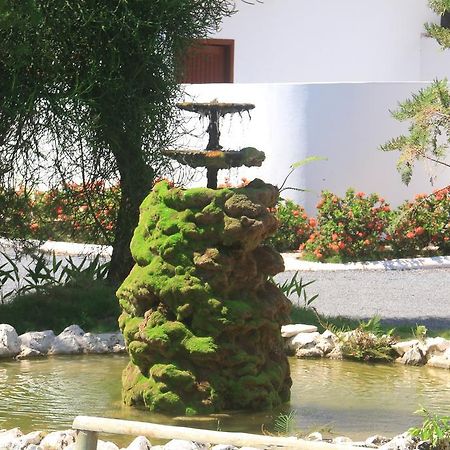 Hotel Pousada Bonsai Bonito  Buitenkant foto
